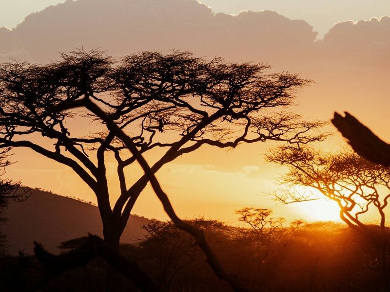 Circuit Lumières d'Afrique Safari au coeur du Kenya pas cher photo 4