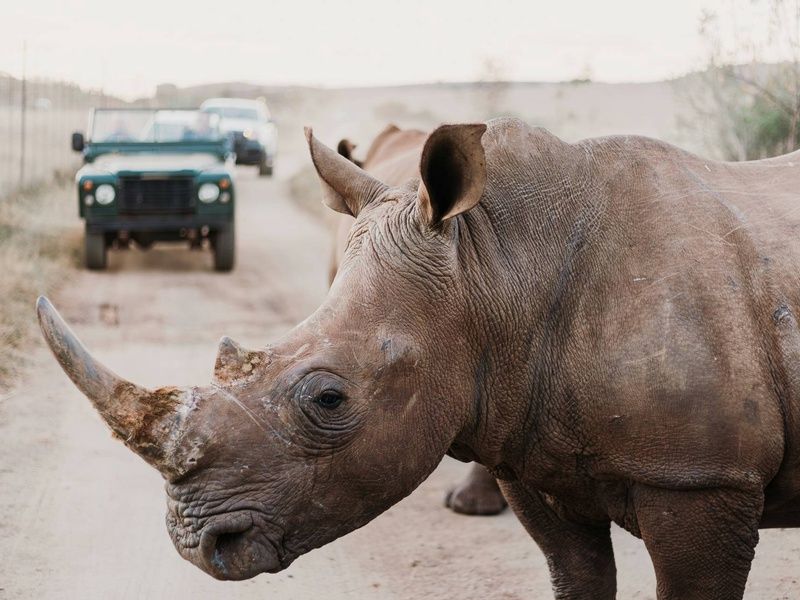 Circuit Essence de l'Afrique du Sud : du Cap aux terres sauvages 4* pas cher photo 15