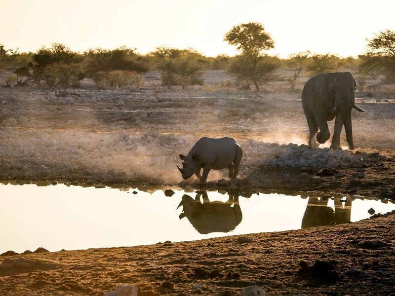 Circuit Éclats de l'Afrique australe 4* pas cher photo 17