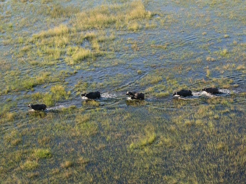 Circuit Éclats de l'Afrique australe 4* pas cher photo 18