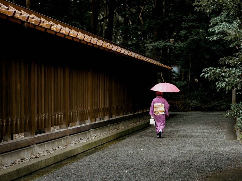 Circuit Japon, terre de contrastes 4* pas cher photo 10
