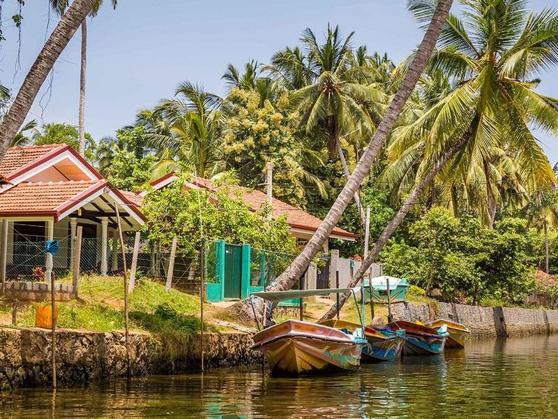 Circuit Trésors de Ceylan 4* pas cher photo 5