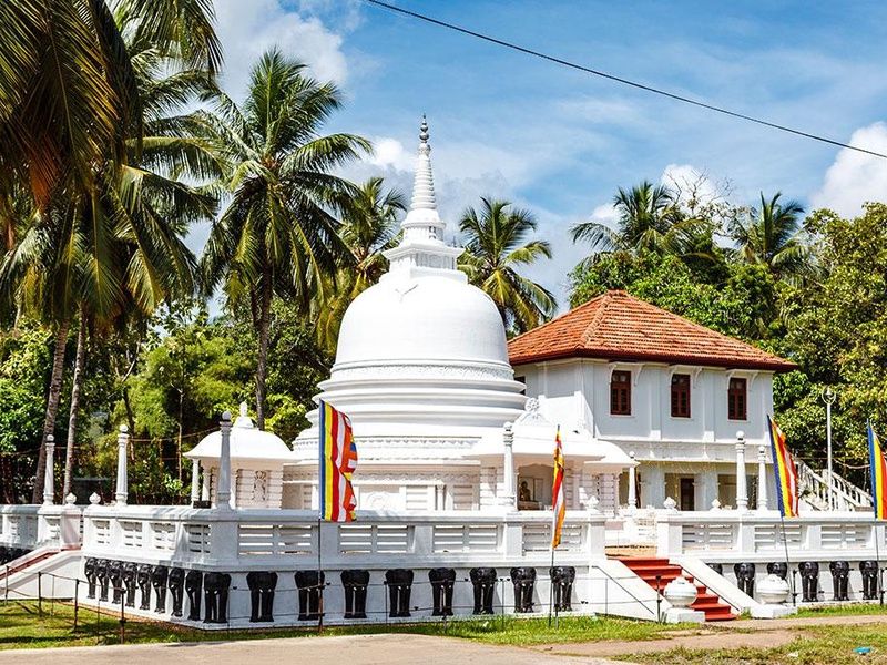 Circuit Trésors de Ceylan 4* pas cher photo 6