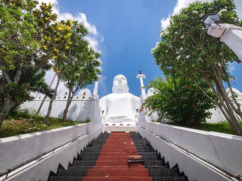 Circuit Trésors de Ceylan 4* pas cher photo 9