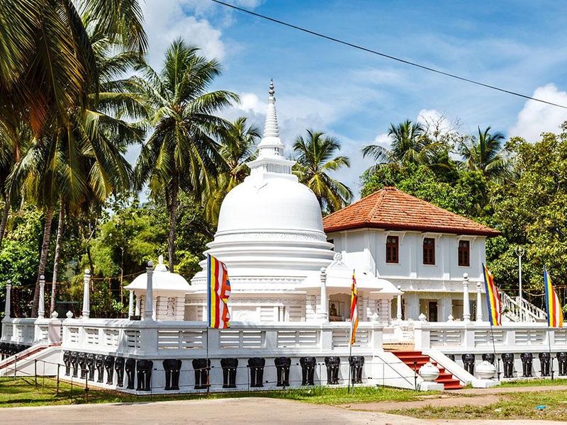 Circuit Secrets du Sri Lanka en petit groupe : culture, plages sauvages et safari 4* pas cher photo 5