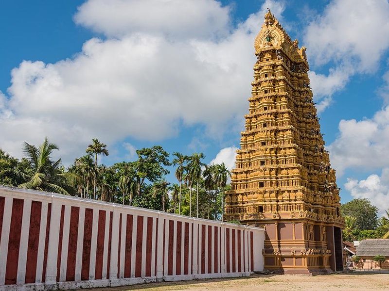 Circuit Secrets du Sri Lanka en petit groupe : culture, plages sauvages et safari 4* pas cher photo 10