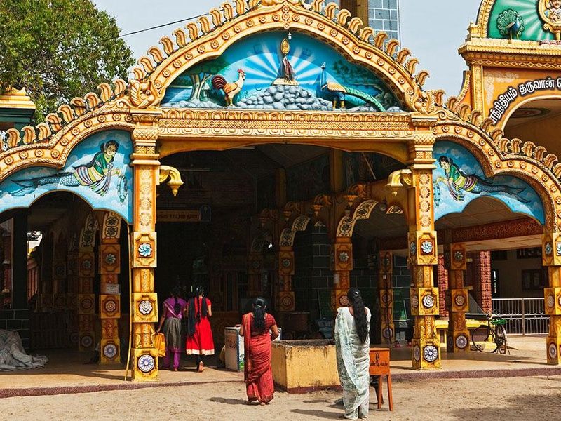 Circuit Secrets du Sri Lanka en petit groupe : culture, plages sauvages et safari 4* pas cher photo 11