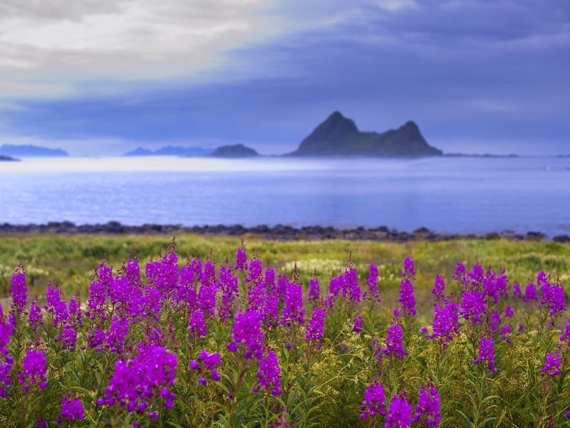 Circuit Mythiques Arctique, Lofoten & Cap Nord pas cher photo 3