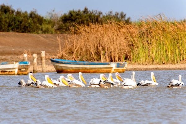 Circuit Mythes & charmes du Sénégal en privatif 3* pas cher photo 5