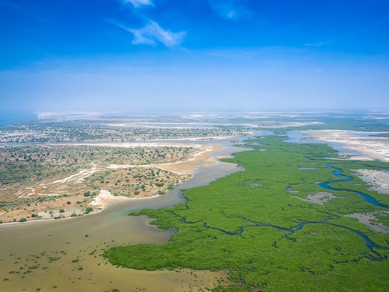 Combiné Circuit Découverte de la Mangrove 3* et Ôclub Experience African Village Bougainvillées 3* pas cher photo 2