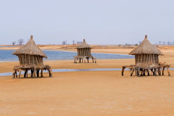 Circuit Beautés du Sénégal et balade avec les lions de Fathala en privatif pas cher photo 3