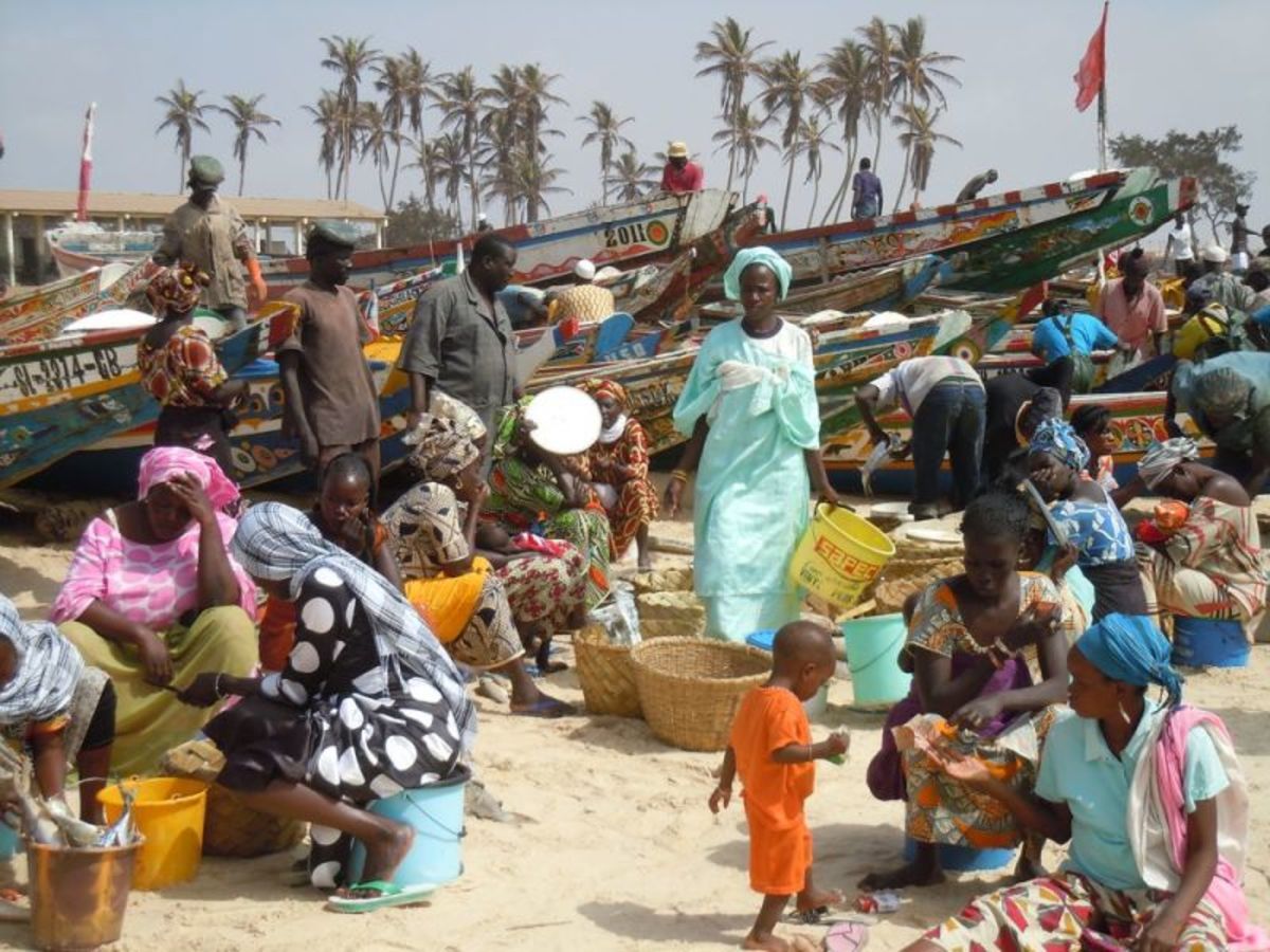 Découverte du Senegal pas cher photo 3