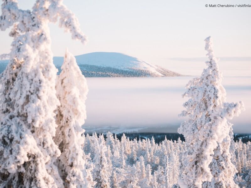Circuit légendes boréales à Rovaniemi pas cher photo 1