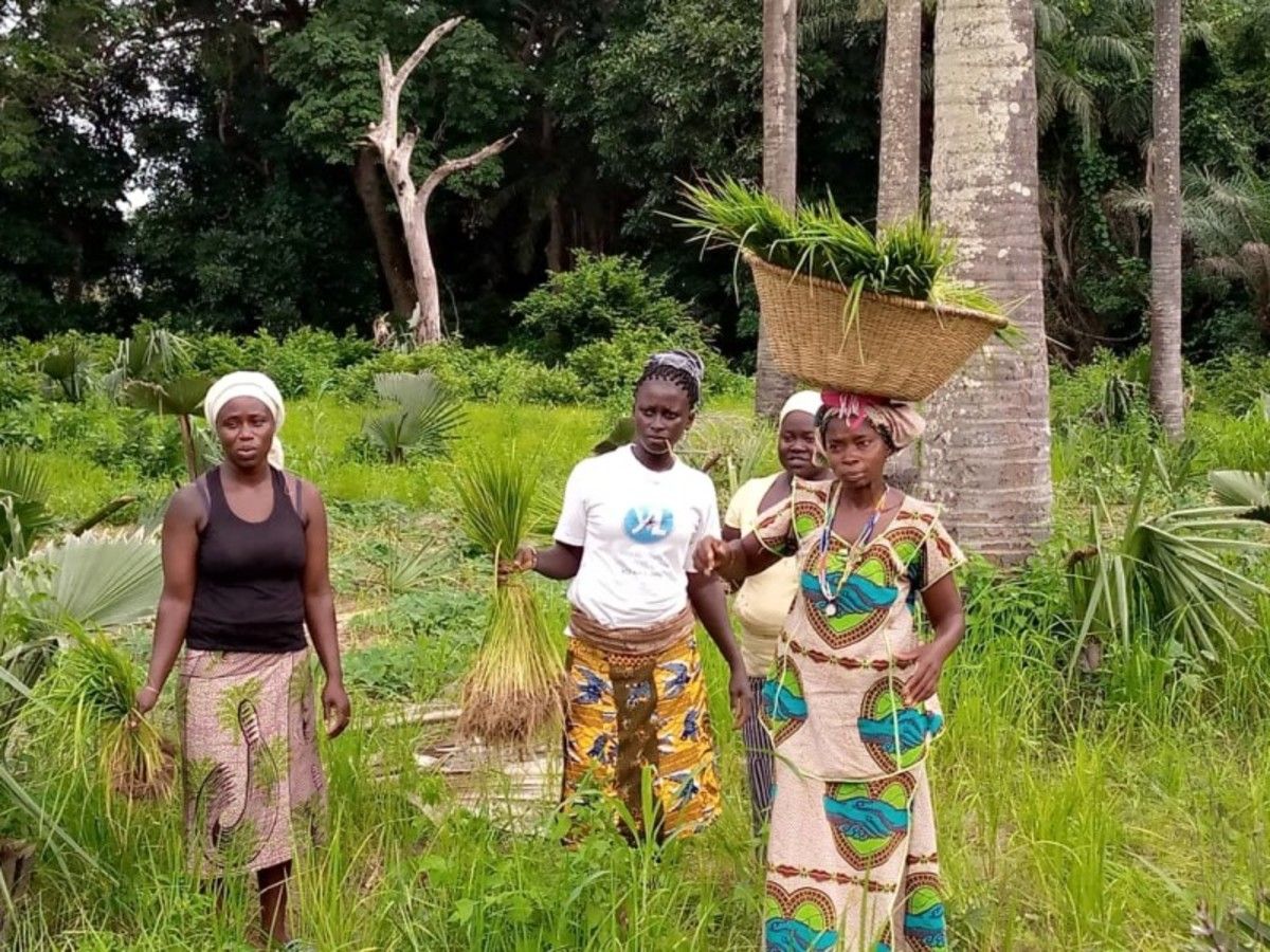 Casamance - Des Iles Et Des Hommes pas cher photo 3