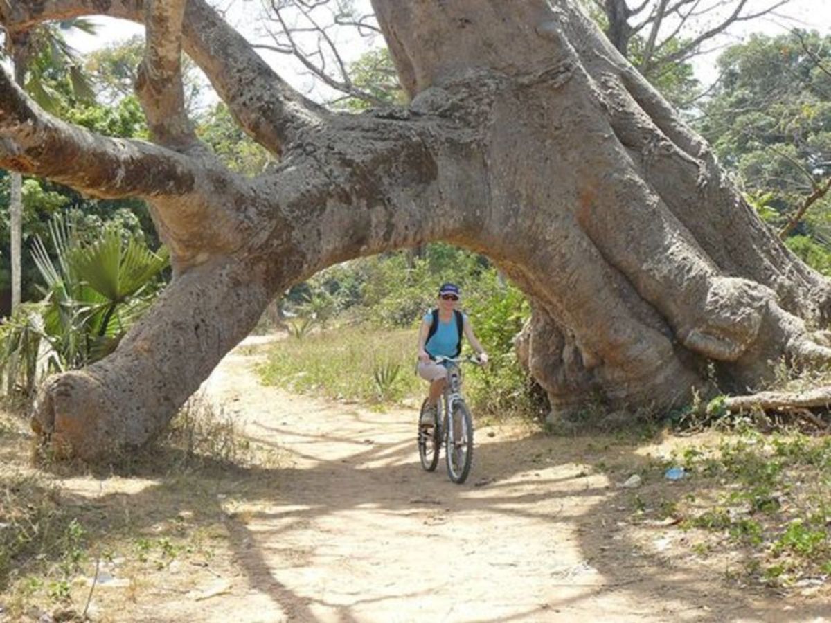 Casamance - Des Iles Et Des Hommes pas cher photo 6