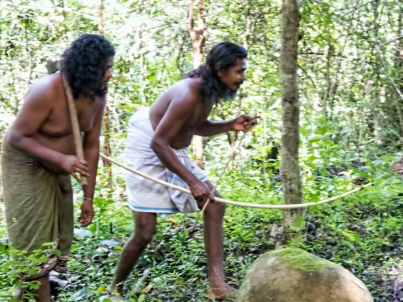 Circuit Nature et Culture du Sri Lanka pas cher photo 1