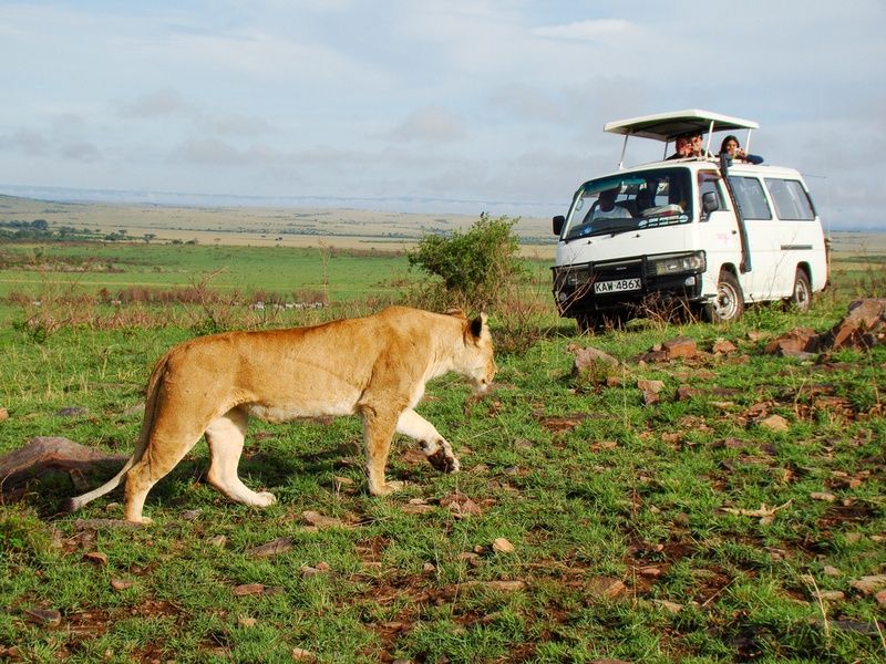 Circuit Safari Magie d'Afrique pas cher photo 6