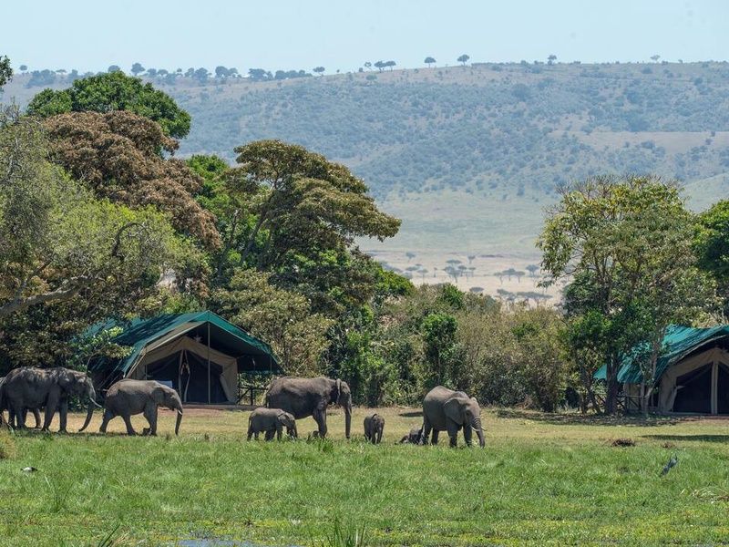 Circuit Safari Magie d'Afrique pas cher photo 11