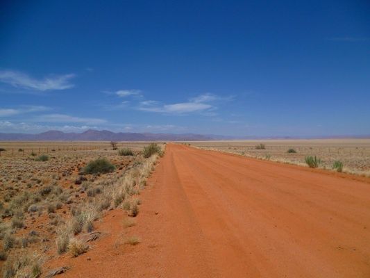 Circuit Du Royaume des Animaux aux Sables du Kalahari pas cher photo 13