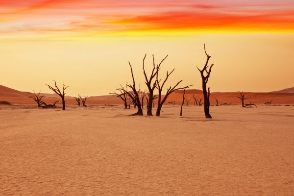 Circuit Namibie : Les plus vieux déserts du Monde pas cher photo 8