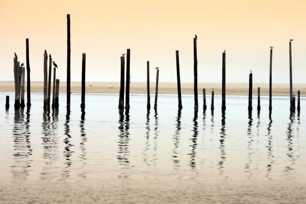 Circuit Namibie : Les plus vieux déserts du Monde pas cher photo 12