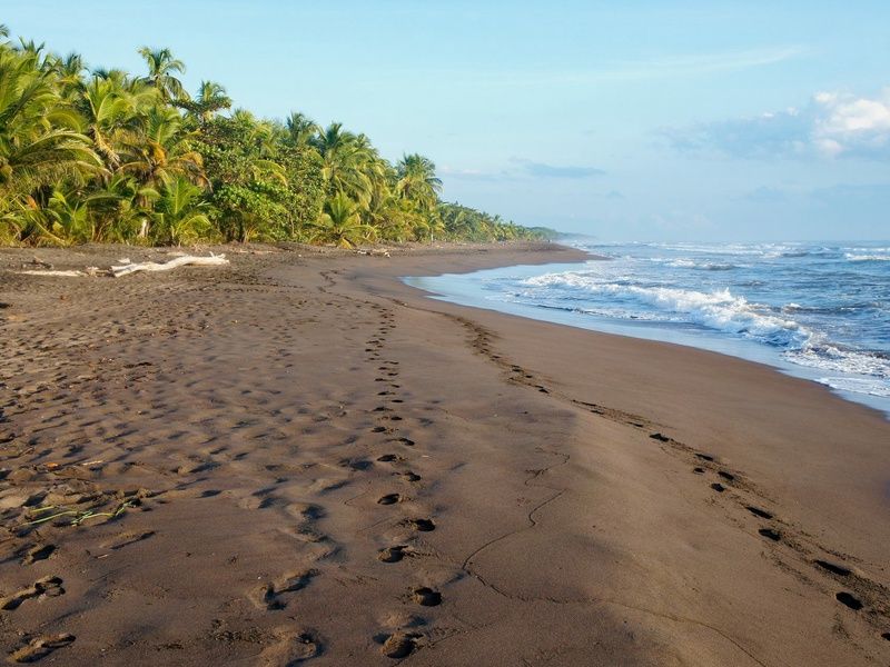 Découverte du Costa Rica et du Panama- Pré tour Tortuguero - 16J/14N - Limité à 18 pers. pas cher photo 1