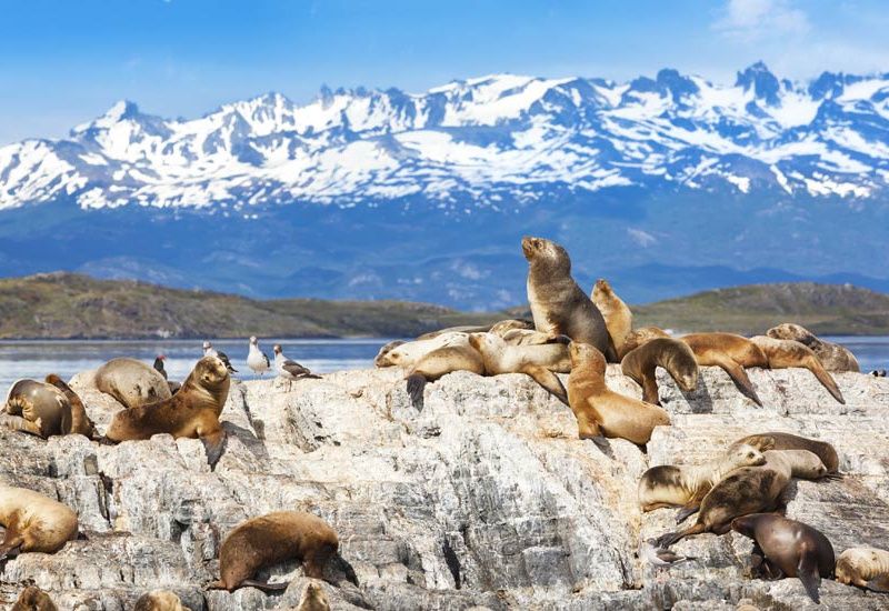L'Argentine et le Brésil, d'Ushuaia à Rio de Janeiro (petit groupe 2-16 pers.) pas cher photo 6