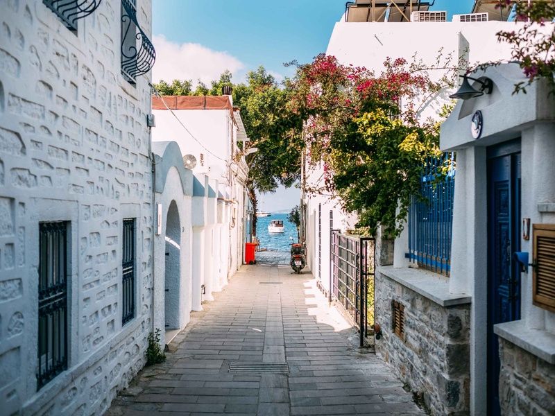 COMBINE KOS TURQUIE (EPHESE ET BODRUM)-ALL INCLUSI pas cher photo 2