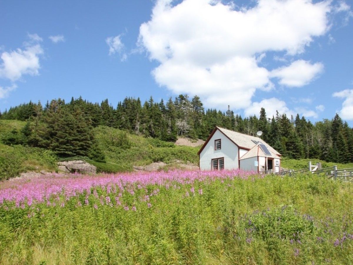 Escapade dans l'Est Canadien pas cher photo 9