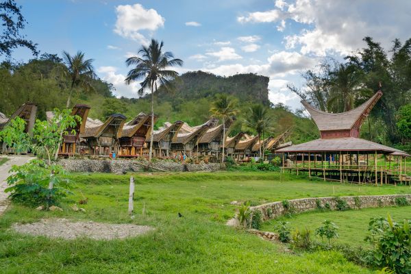 Circuit De Java au Pays Toraja pas cher photo 1