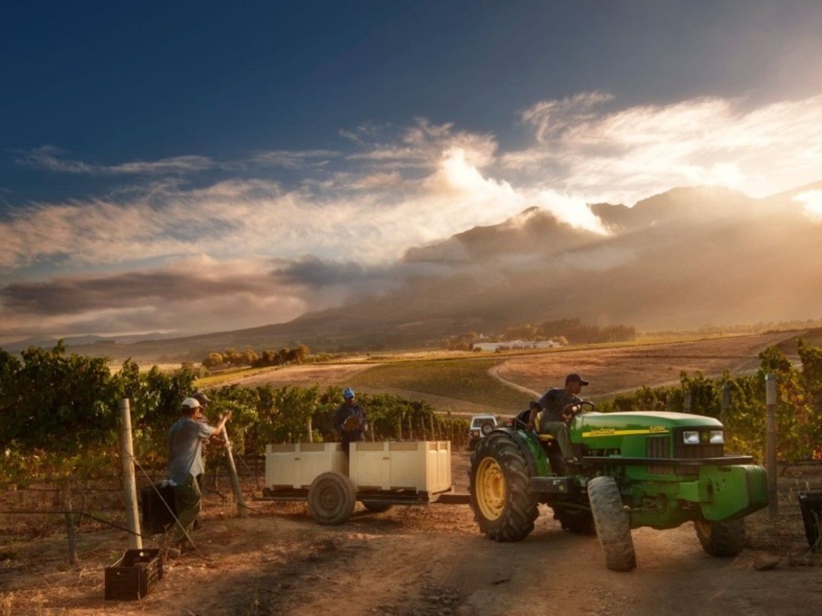 Découverte Afrique Du Sud 2026 pas cher photo 3