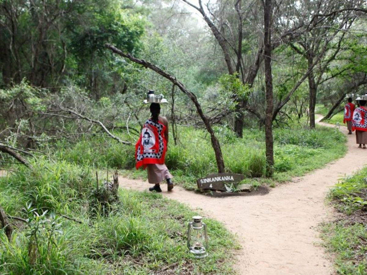 Découverte Afrique Du Sud 2026 pas cher photo 7