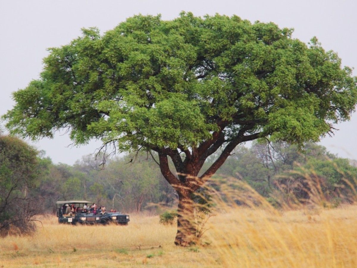 Découverte Afrique Du Sud Et Victoria Falls 2026 pas cher photo 6
