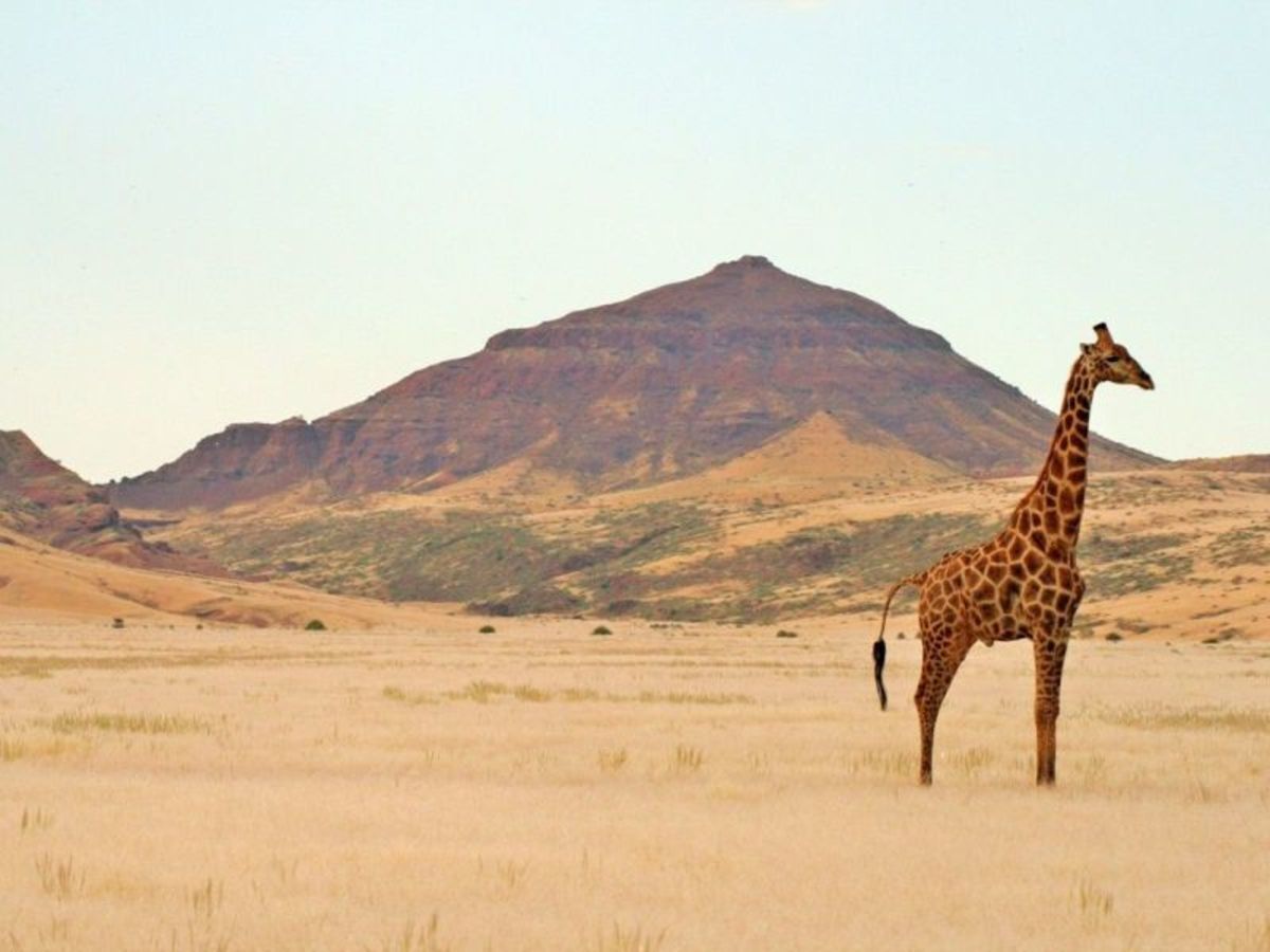 Grand Tour De Namibie 2026 pas cher photo 11