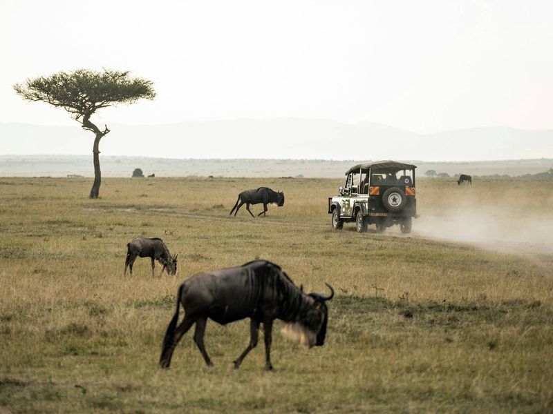 Circuit L'âme sauvage : voyage entre Kenya et Tanzanie pas cher photo 8