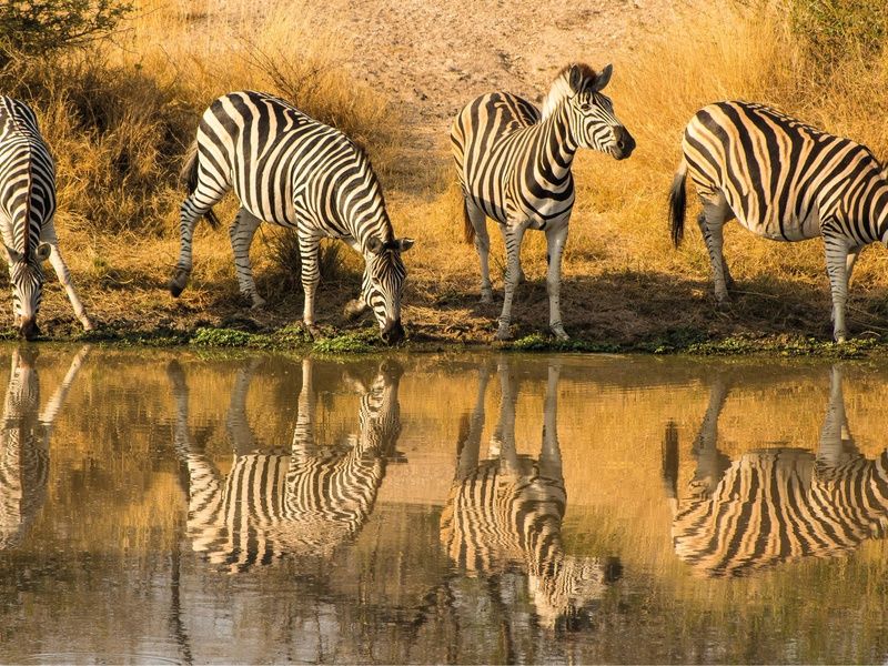 Circuit L'âme sauvage : voyage entre Kenya et Tanzanie pas cher photo 10