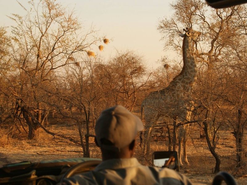 Circuit L'âme sauvage : voyage entre Kenya et Tanzanie pas cher photo 16