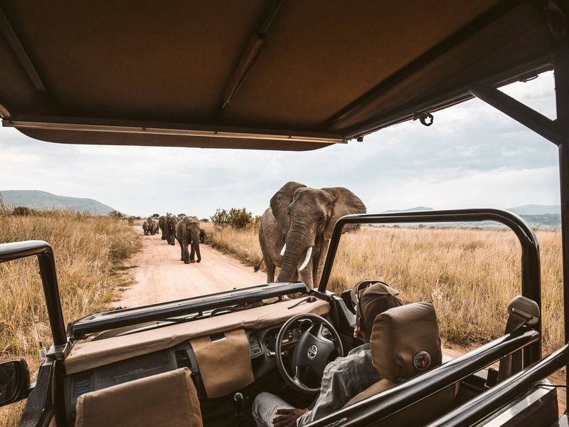 Circuit L'âme sauvage : voyage entre Kenya et Tanzanie pas cher photo 20