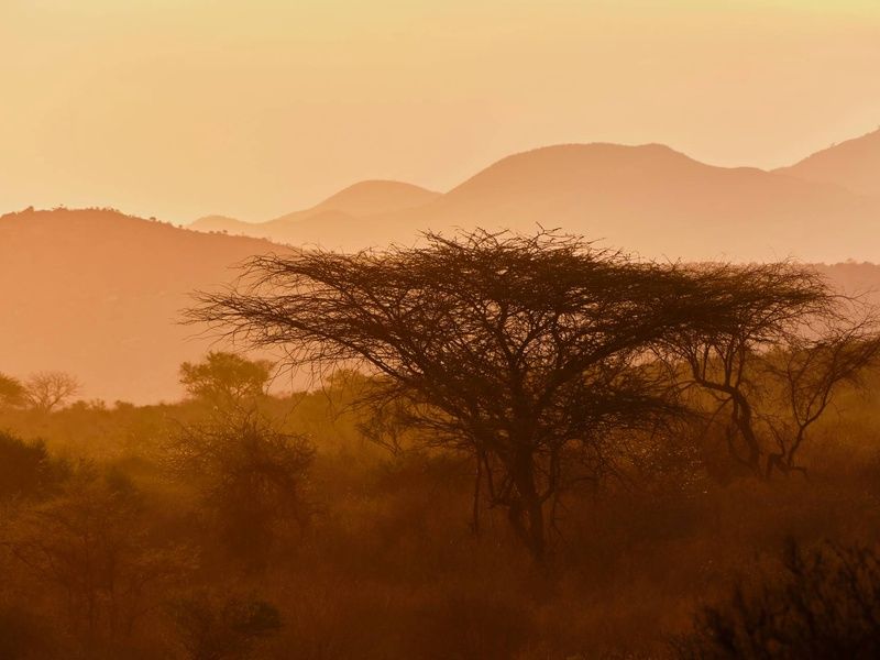 Circuit L'âme sauvage : voyage entre Kenya et Tanzanie pas cher photo 21