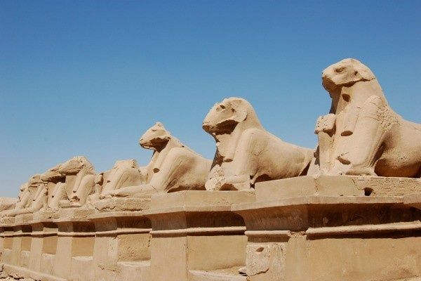 Combiné hôtels Éternelle Louxor aux récifs d'Hurghada 4* pas cher photo 7