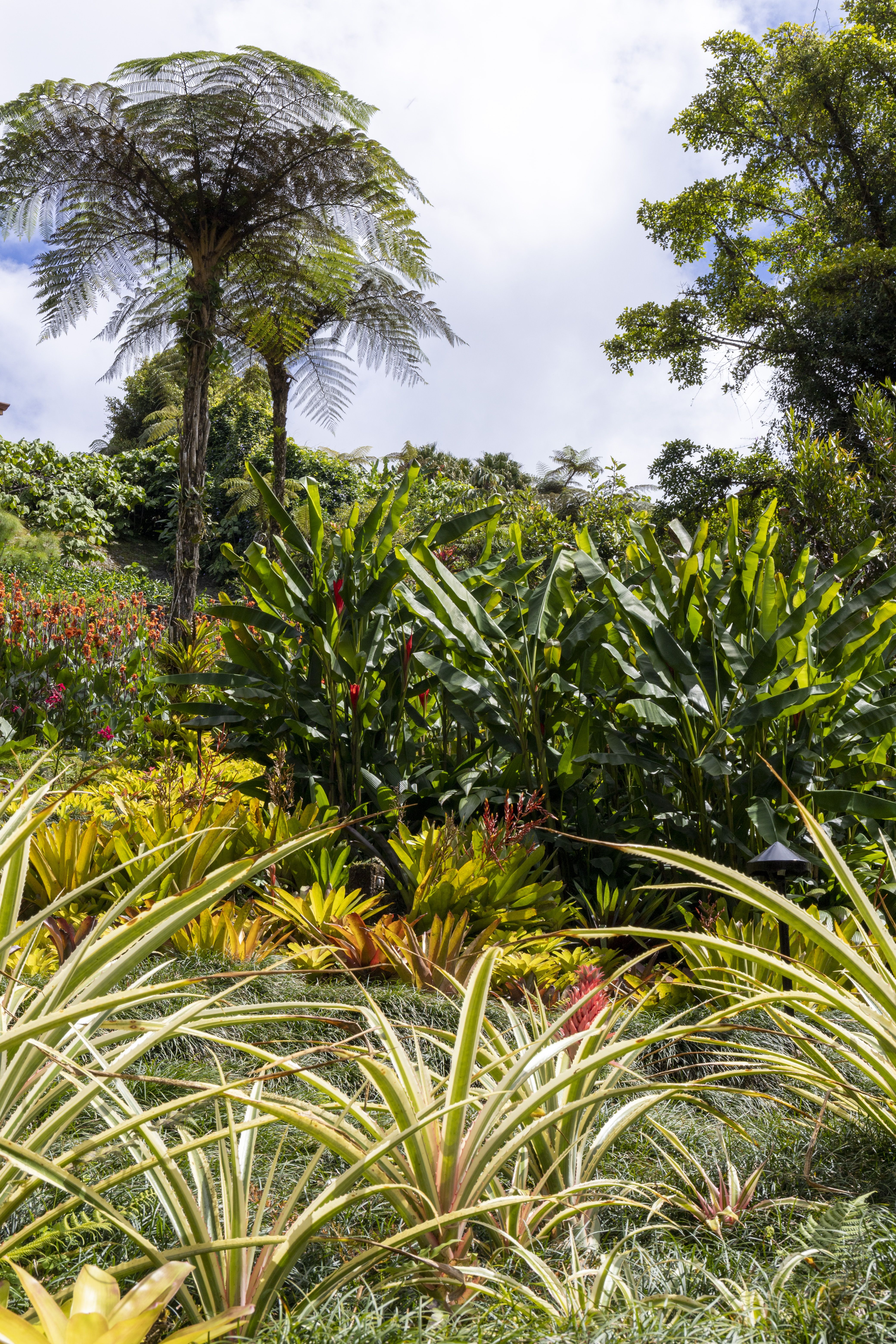 5 Jours guidés au Costa Rica : L'éclat de la Capitale 3* (Pension au Choix) pas cher photo 3