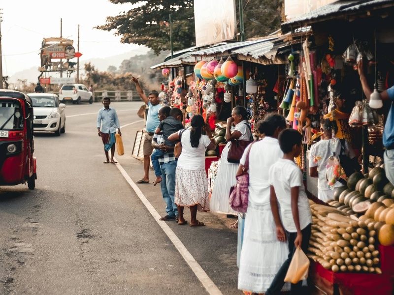 Circuit L'odyssée sri lankaise : l'île aux mille visages pas cher photo 8