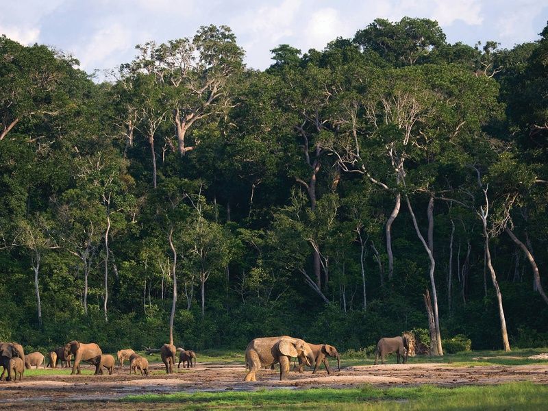 Circuit L'odyssée sri lankaise : l'île aux mille visages pas cher photo 9