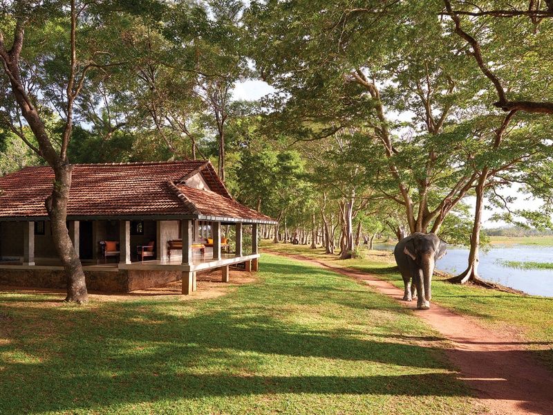 Circuit L'odyssée sri lankaise : l'île aux mille visages pas cher photo 11