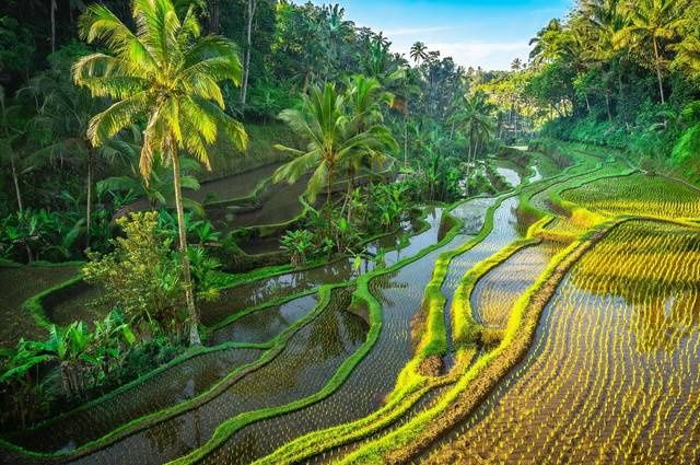 Circuit Bali Essentiel pas cher photo 1