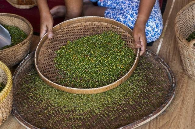 OFFRE SPECIALE - Mémoire du Cambodge pas cher photo 13