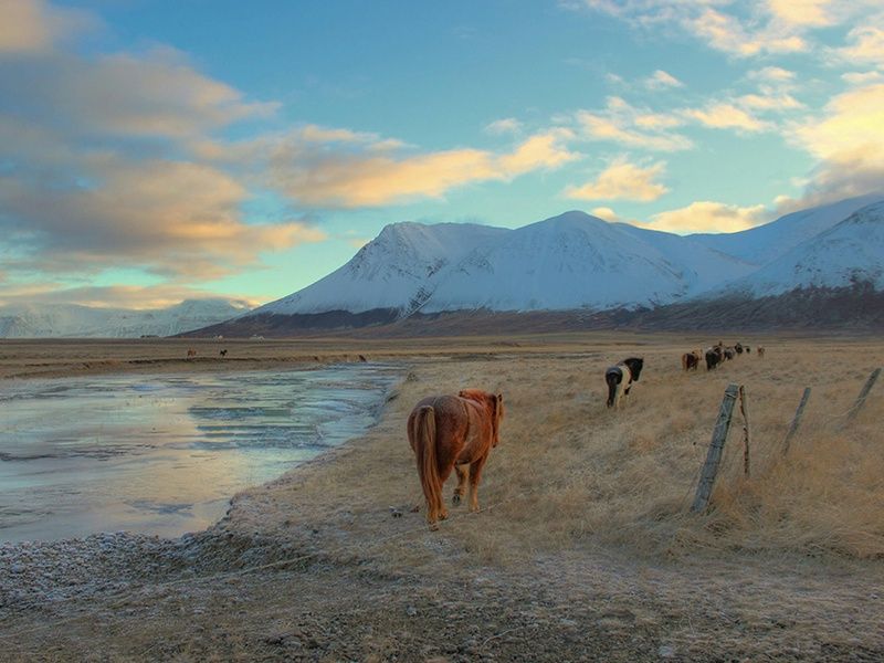 Circuit Estival Aventures en terres islandaises Islande pas cher photo 5
