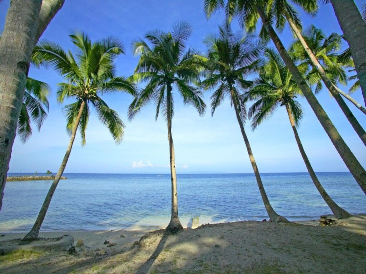 Secrets des Visayas - 13 jours / 12 nuits pas cher photo 2