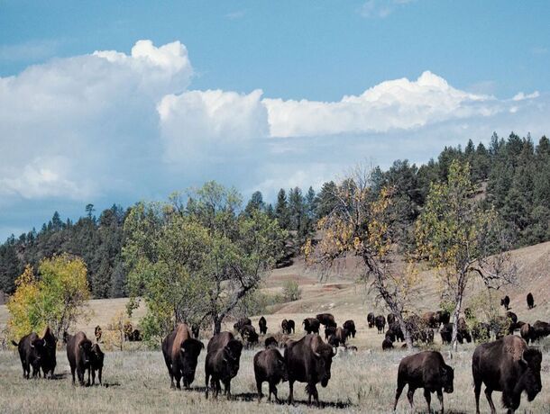 Des rocheuses américaines au Lake Tahoe et la cote pacifique pas cher photo 20