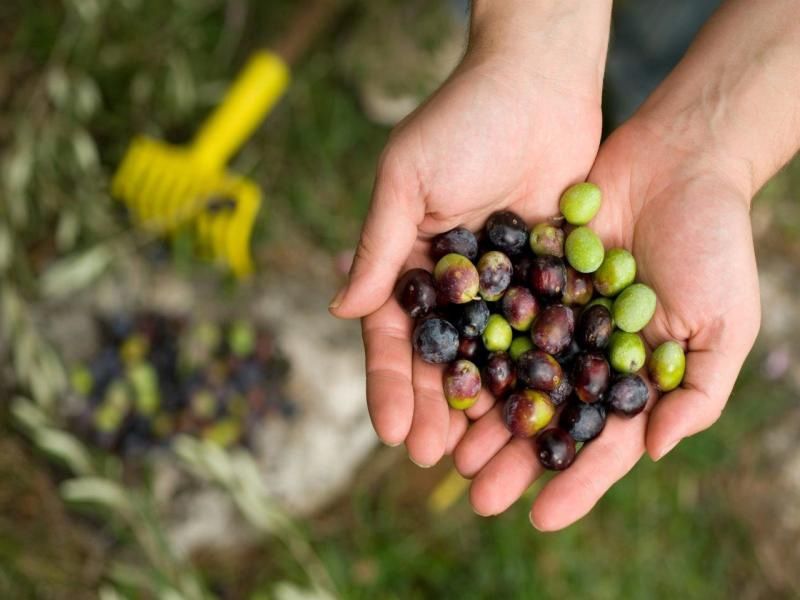 Autotour explorez l'Istrie et la Dalmatie en 8 jours pas cher photo 1